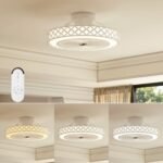 19 Inch Ceiling Fan with Light Low Profile Flush Mount Fan