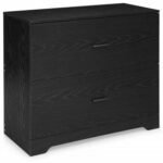 2-Drawer Lateral File Cabinet with Adjustable Bars for Home Office
