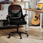 Ergonomic Computer Desk Chair with Lumbar Support and Flip-up Arms